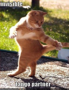 If the cat can tango, so can you!