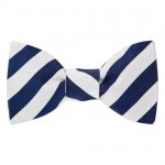 Collegiate Bow Tie